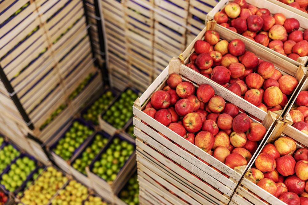 grossiste snack Port-de-Bouc